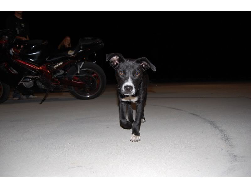 Name:  DSC_0003_thumb.jpg
Views: 9
Size:  34.4 KB