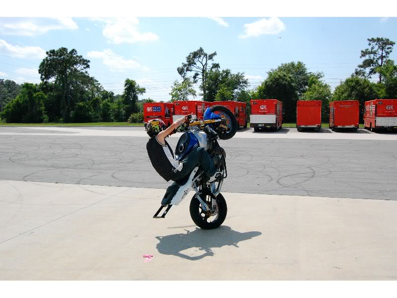 Name:  DSC_0040_thumb.jpg
Views: 11
Size:  71.1 KB