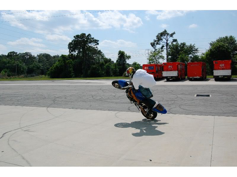 Name:  DSC_0067_thumb.jpg
Views: 17
Size:  67.0 KB