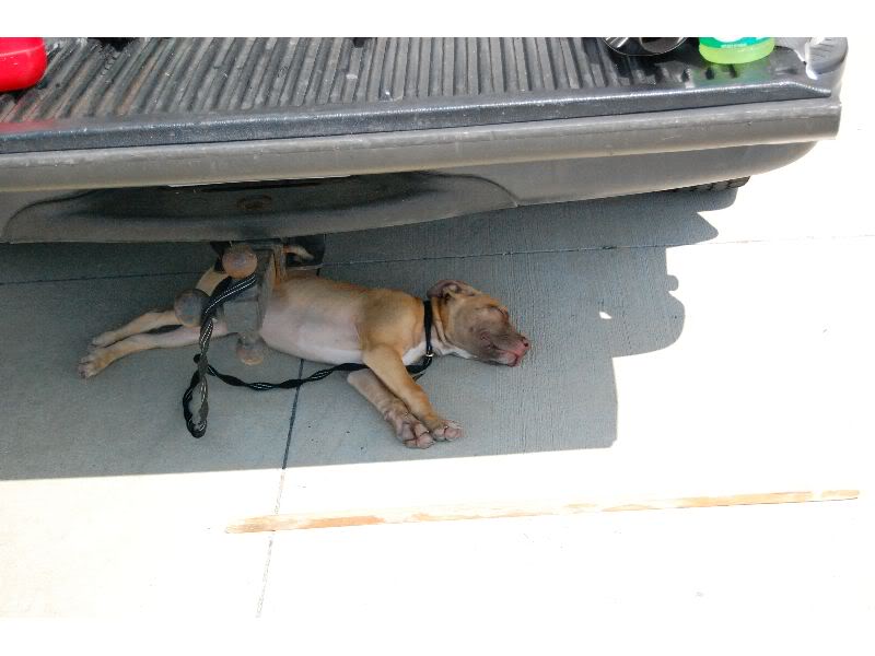 Name:  DSC_0074_thumb.jpg
Views: 13
Size:  49.3 KB