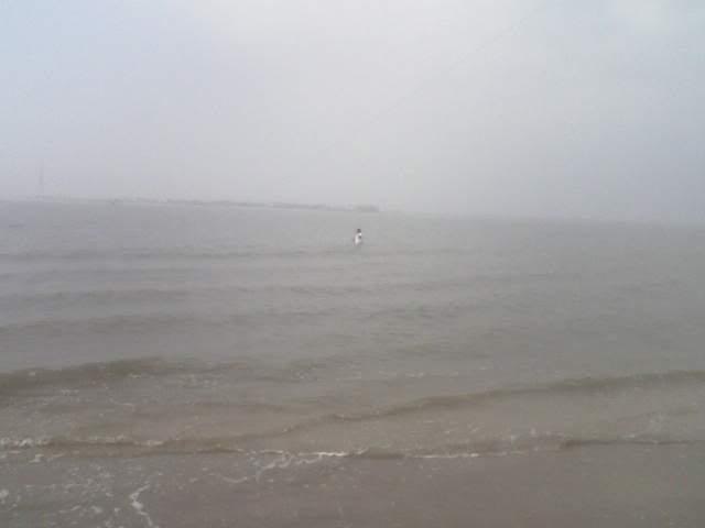 Name:  surffishing.jpg
Views: 9
Size:  10.1 KB