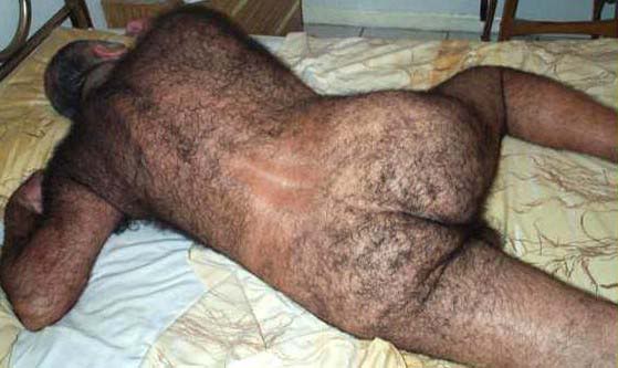 Name:  hair.jpg
Views: 26
Size:  30.2 KB