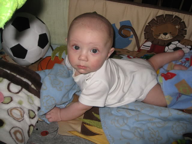 Name:  005-1.jpg
Views: 17
Size:  49.2 KB