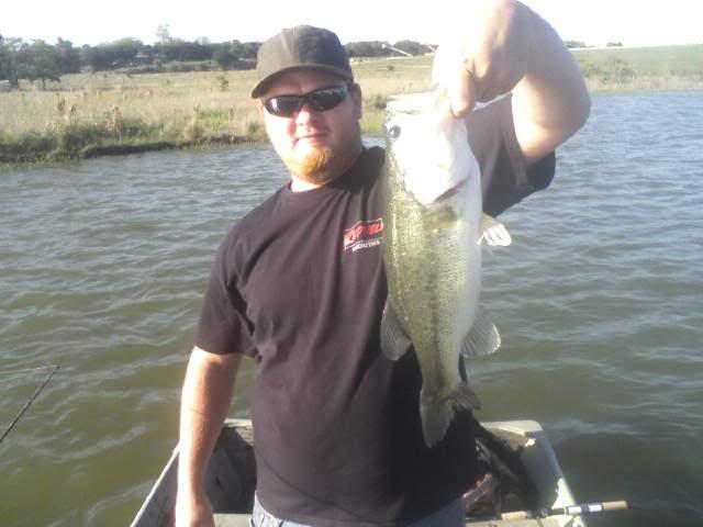 Name:  toad.jpg
Views: 10
Size:  31.7 KB