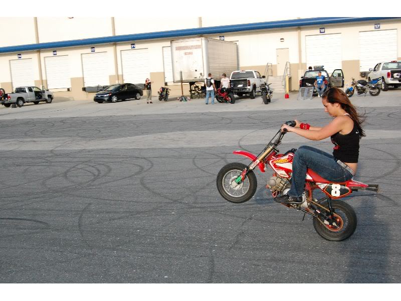 Name:  DSC_0465_thumb.jpg
Views: 6
Size:  82.3 KB