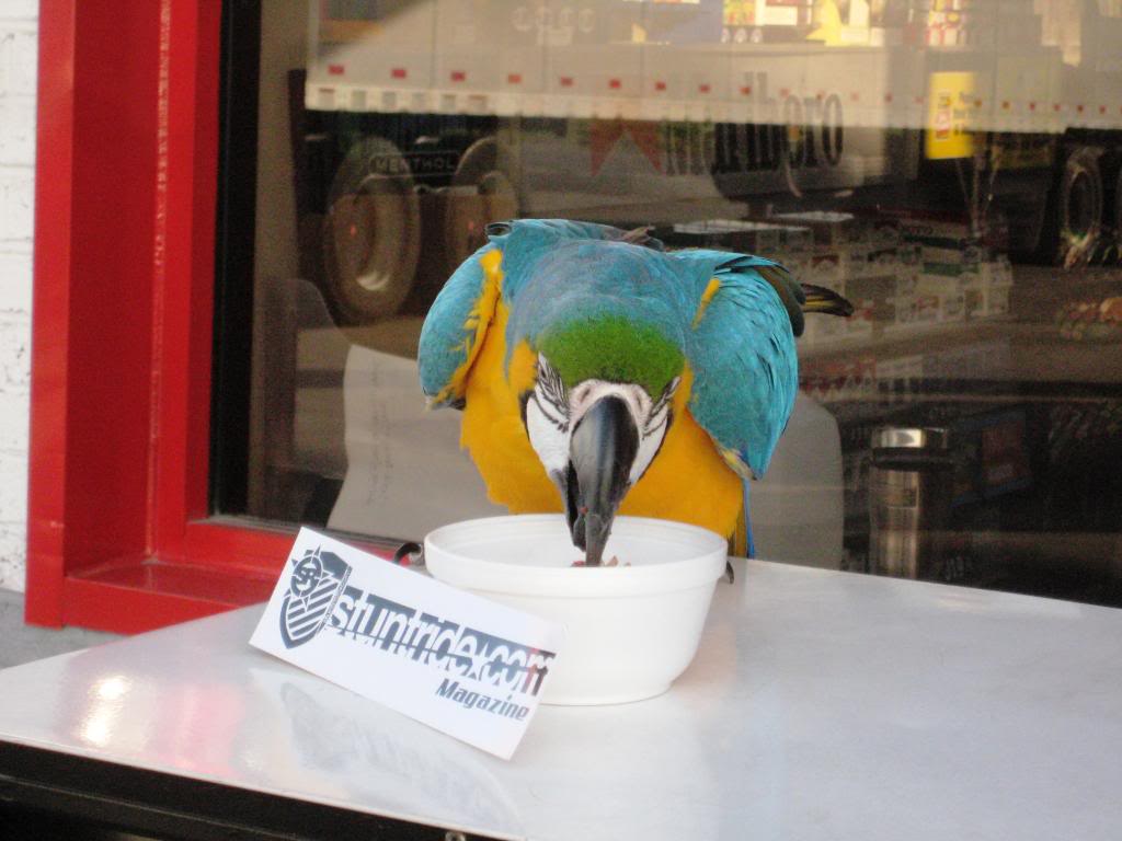 Name:  IMG_2972.jpg
Views: 25
Size:  77.5 KB