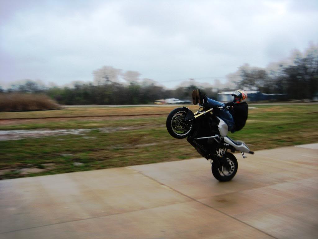 Name:  IMG_2669.jpg
Views: 40
Size:  57.0 KB