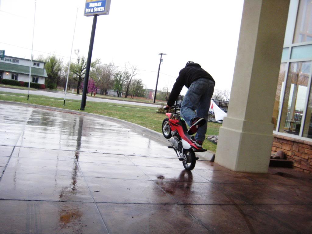 Name:  IMG_2462.jpg
Views: 50
Size:  88.8 KB