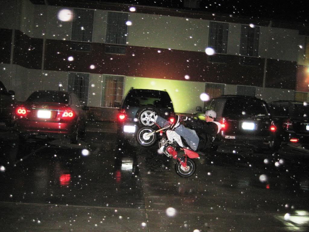 Name:  IMG_2505.jpg
Views: 83
Size:  113.6 KB