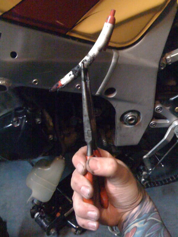 Name:  IMG_0157.jpg
Views: 20
Size:  79.8 KB