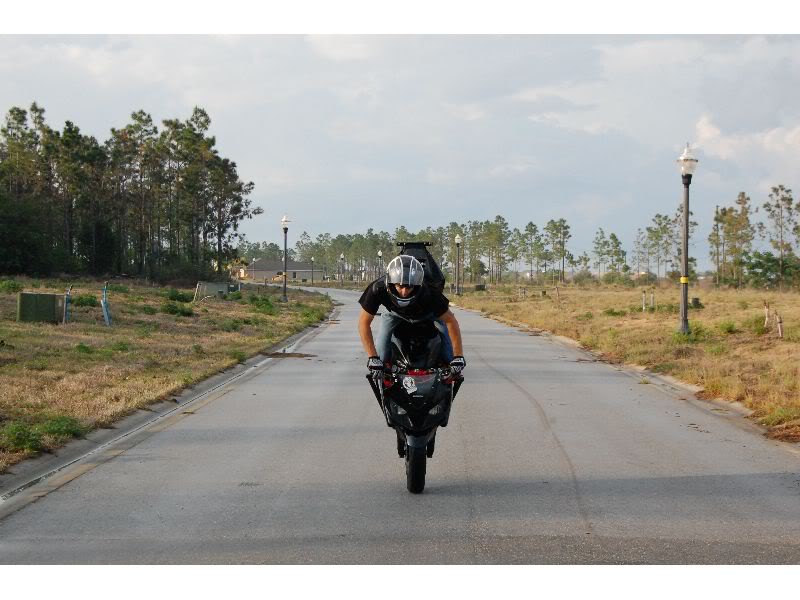 Name:  DSC_0055_thumb.jpg
Views: 17
Size:  70.5 KB