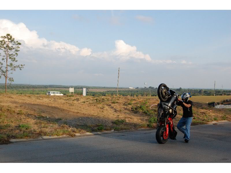 Name:  DSC_0110_thumb.jpg
Views: 16
Size:  61.6 KB