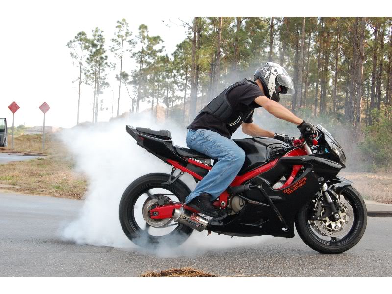 Name:  DSC_0112_thumb.jpg
Views: 14
Size:  93.7 KB