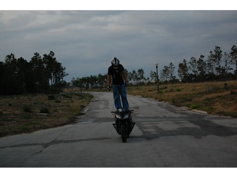 Name:  DSC_0314_thumb.jpg
Views: 23
Size:  49.5 KB