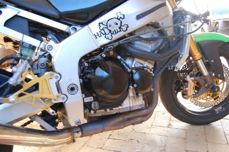 Name:  DSC_0036.jpg
Views: 8
Size:  74.3 KB