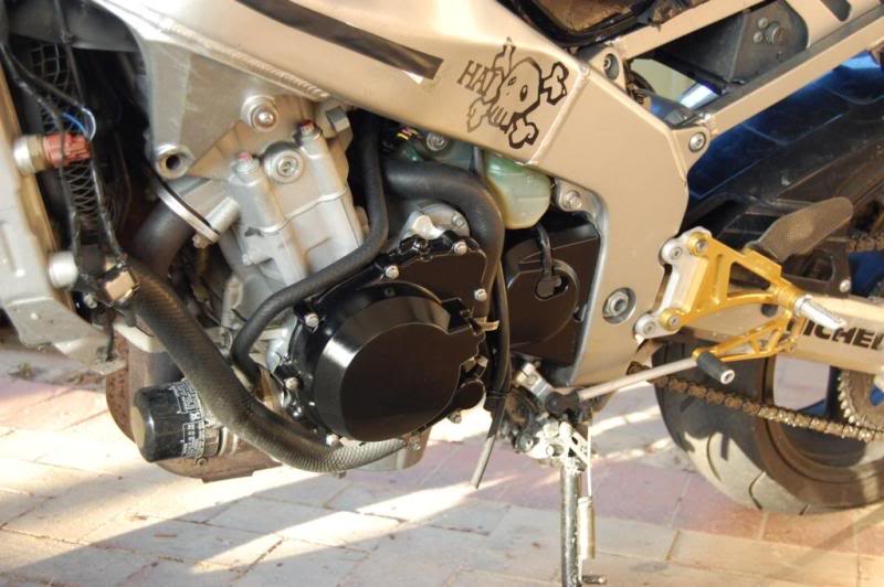 Name:  DSC_0041-1.jpg
Views: 8
Size:  67.1 KB