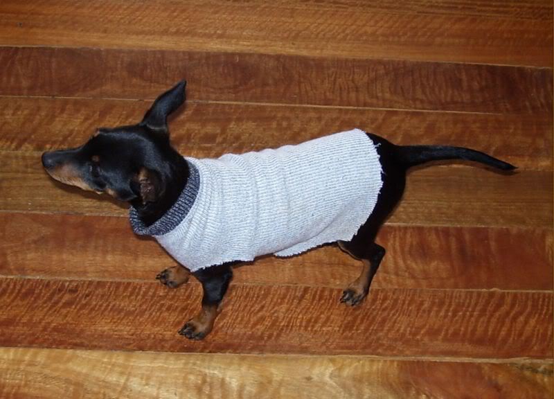 Name:  100_0713.jpg
Views: 10
Size:  71.9 KB