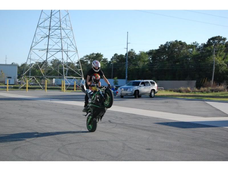 Name:  DSC_0287_thumb.jpg
Views: 5
Size:  60.1 KB