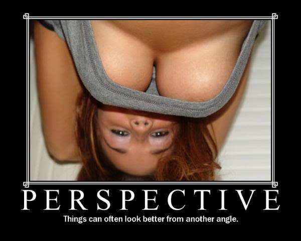Name:  perspective.jpg
Views: 11
Size:  28.9 KB