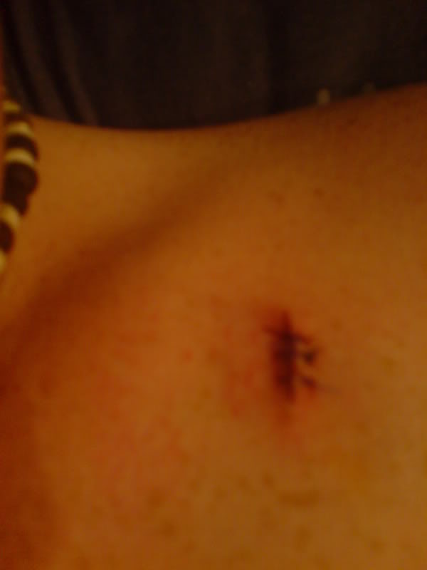 Name:  DSC01342.jpg
Views: 47
Size:  19.6 KB