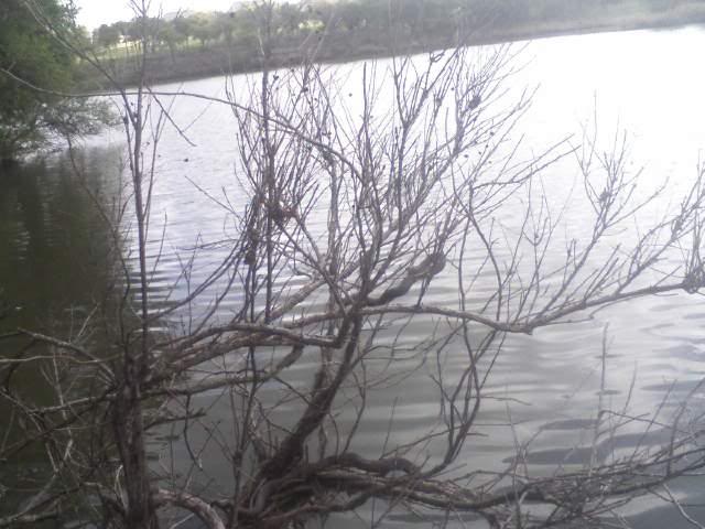 Name:  moccasins.jpg
Views: 8
Size:  49.0 KB