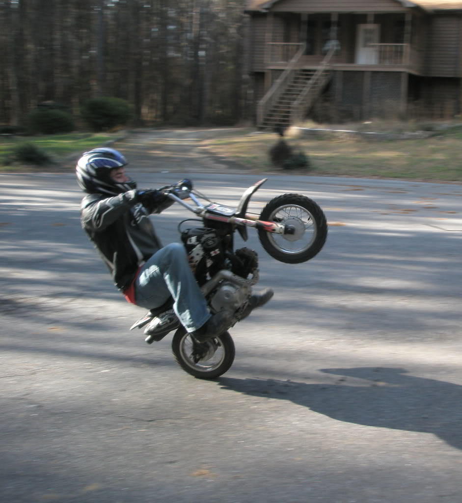 Name:  P1230023.jpg
Views: 103
Size:  105.5 KB