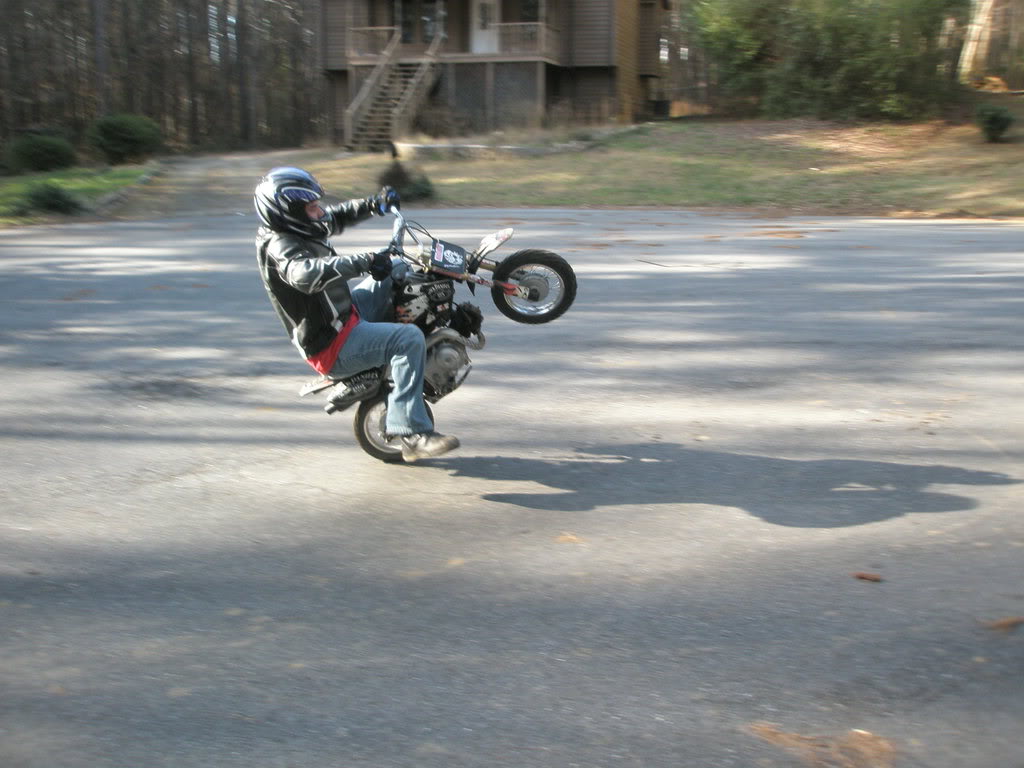 Name:  P1230024.jpg
Views: 69
Size:  105.3 KB