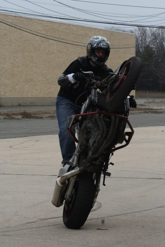 Name:  stuntin31509071.jpg
Views: 8
Size:  72.9 KB