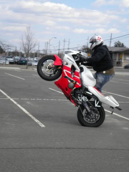 Name:  DSCN0149.jpg
Views: 25
Size:  37.7 KB