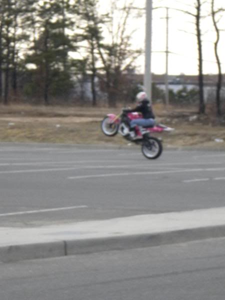 Name:  DSCN0200.jpg
Views: 23
Size:  32.8 KB