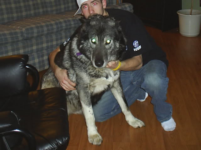 Name:  S3010063.jpg
Views: 9
Size:  37.3 KB