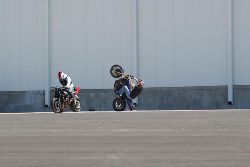 Name:  dooie4.jpg
Views: 9
Size:  27.2 KB