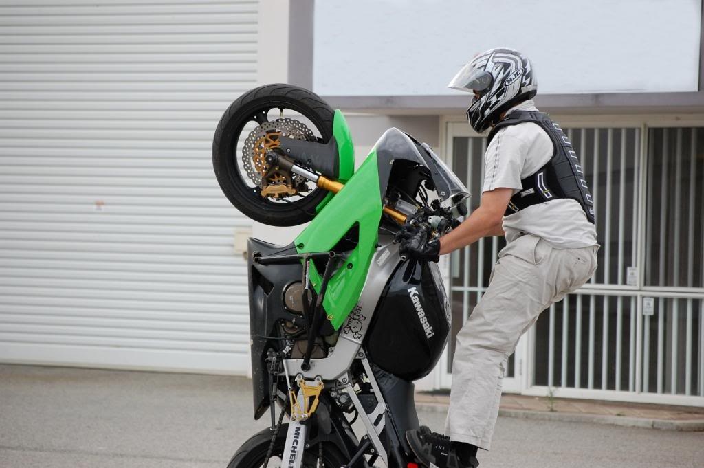 Name:  DSC_0517.jpg
Views: 11
Size:  84.6 KB