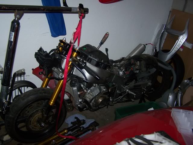 Name:  100_0768.jpg
Views: 12
Size:  58.3 KB