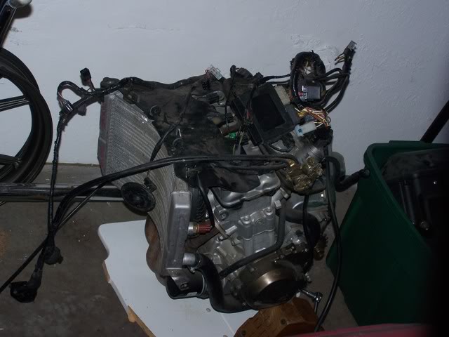 Name:  100_0771.jpg
Views: 10
Size:  51.1 KB