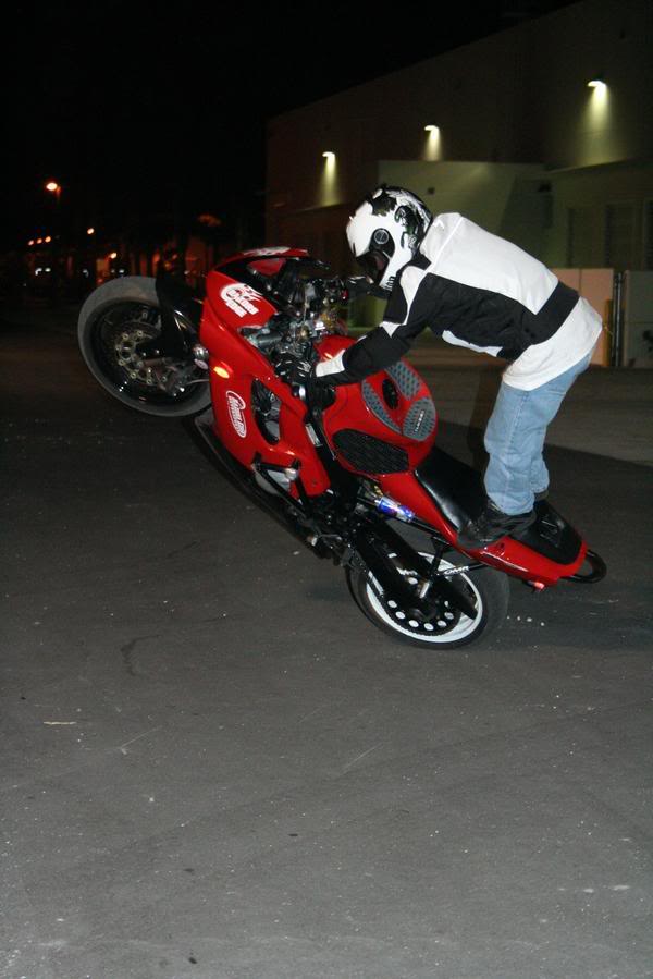 Name:  laurel1.jpg
Views: 8
Size:  53.1 KB