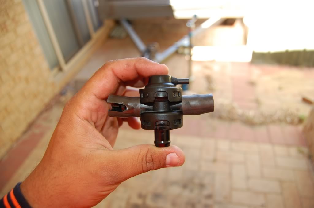 Name:  DSC_0461.jpg
Views: 59
Size:  75.5 KB