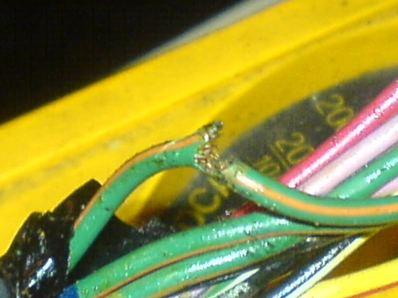 Name:  DSC01112.jpg
Views: 9
Size:  52.1 KB