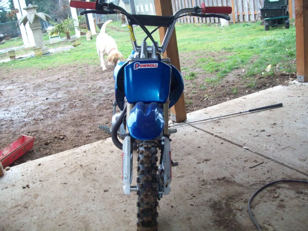 Name:  104_0185.jpg
Views: 11
Size:  173.2 KB