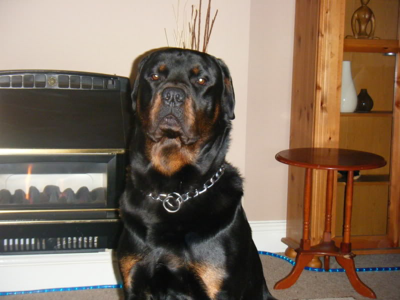 Name:  Picture444.jpg
Views: 14
Size:  65.8 KB