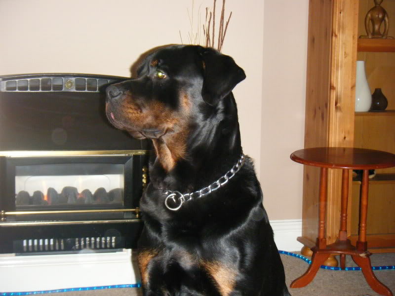 Name:  Picture443.jpg
Views: 7
Size:  64.9 KB