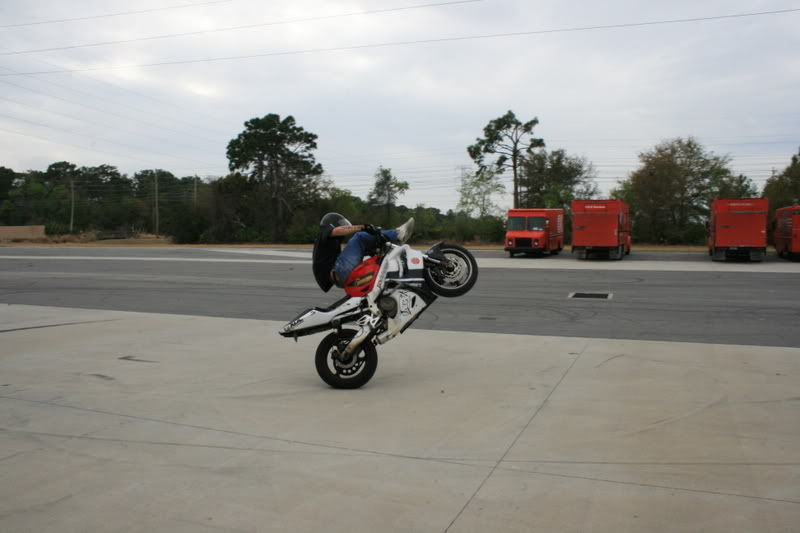 Name:  2-15-2009bw048.jpg
Views: 30
Size:  50.1 KB