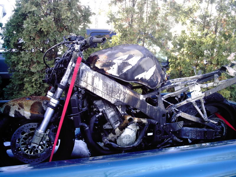 Name:  DCFC0069.jpg
Views: 11
Size:  171.5 KB