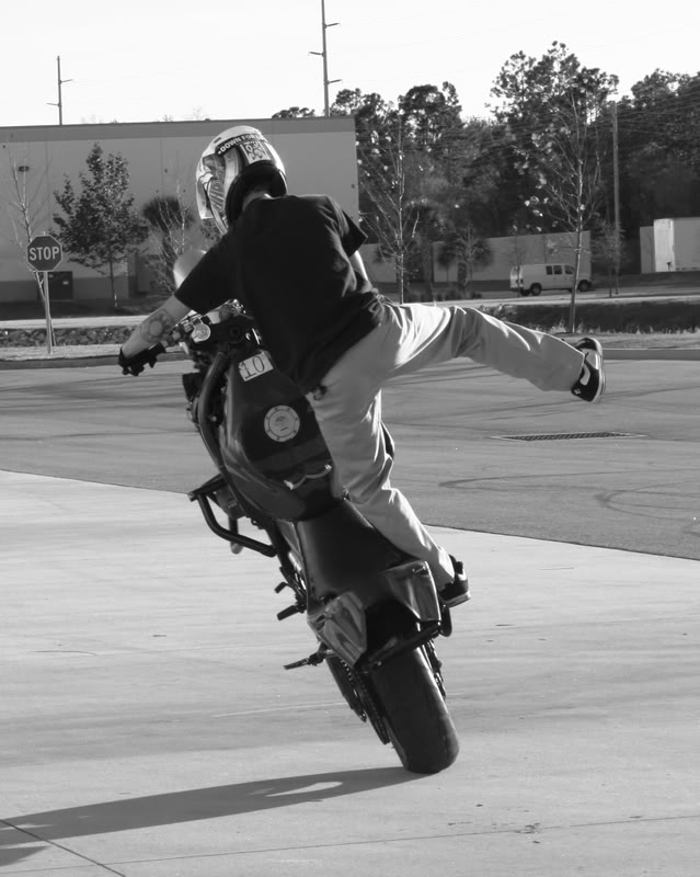 Name:  blackandwhites167.jpg
Views: 7
Size:  74.2 KB
