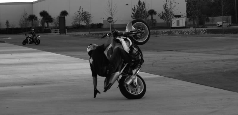 Name:  blackandwhites252.jpg
Views: 9
Size:  39.5 KB