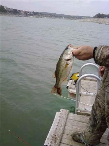 Name:  lmb.jpg
Views: 13
Size:  22.1 KB