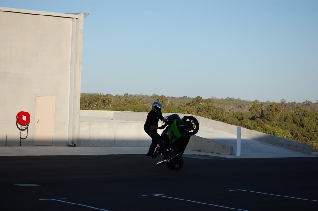 Name:  DSC_0103.jpg
Views: 9
Size:  79.5 KB