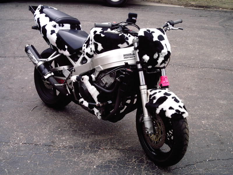 Name:  Picture045.jpg
Views: 6
Size:  126.0 KB