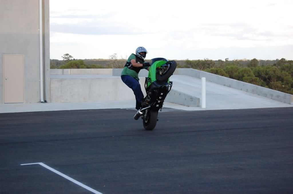 Name:  DSC_0092.jpg
Views: 8
Size:  78.7 KB