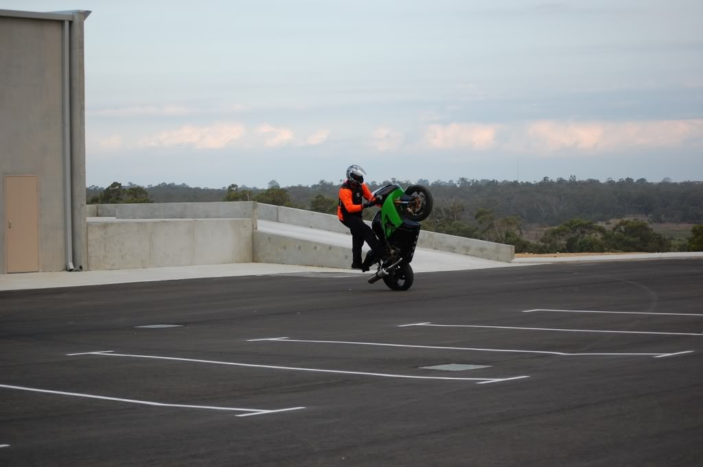 Name:  DSC_0735.jpg
Views: 10
Size:  78.9 KB